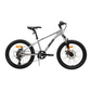 Bicicleta LIMITLESS BLITZ Gris aro 20