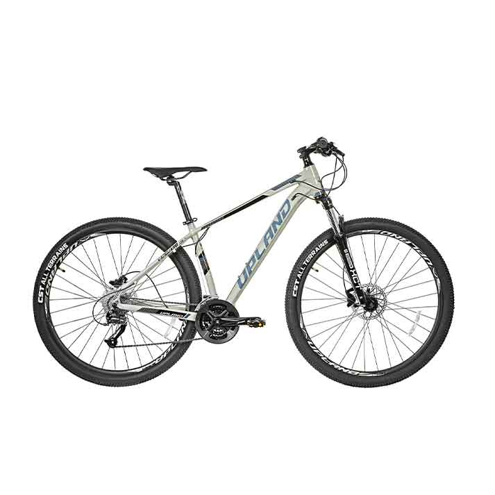 Bicicleta Upland Vanguard 500