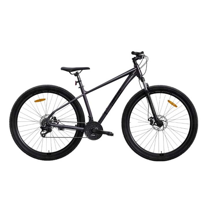 Bicicleta Limitless Raptor 1.0 Gris
